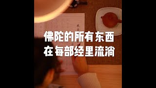 201812 佛陀的所有东西在每部经里流淌50974