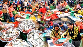 Fish Market. Fish, Shrimp, Squid, Lobster, Crab and More, Supply Market. Cambodian Street Food