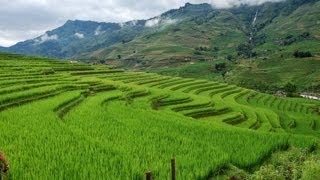 [Vietnam Adventures:] Trekking the Beautiful Rice Terraced Villages near Sapa