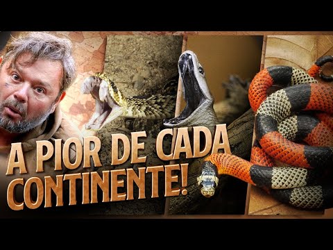 Vídeo: Serpentes da América Central: Espécies e Famílias