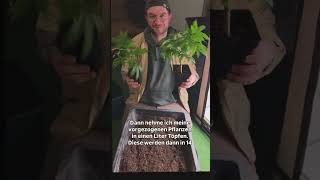 Drehbarer Pflanzentisch! Wir testen 🌱