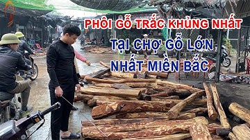 CHỌN PHÔI GỖ TRẮC TẠI CHỢ GỖ LỚN NHẤT MIỀN BẮC 2️⃣0️⃣2️⃣1️⃣
