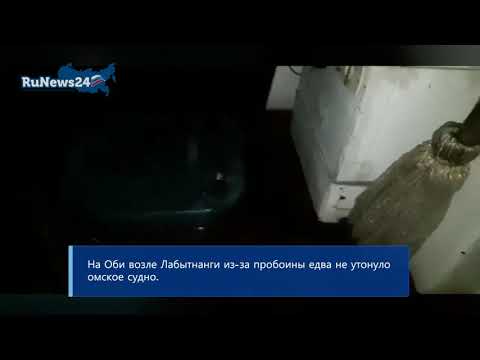 На Оби возле