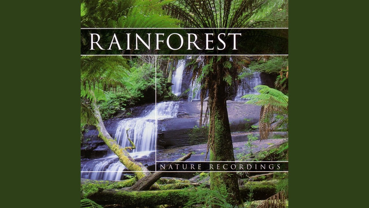 Watch Rainforest 1 on YouTube Watch Rainforest 1 on YouTube