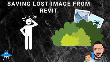 Saving Lost Image From Revit with Dynamo and Python