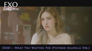 SOMI - What You Waiting For (Acapella Ver.)