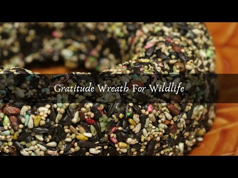 Gratitude Wreath For Wildlife