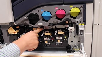 TRANSFER BELT  VERSALINK