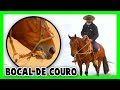 Desafio BOCAL DE COURO