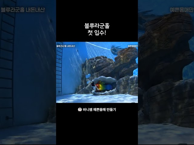 블루라군홀 첫 입수!