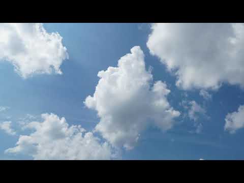 Таймлапс движение белых