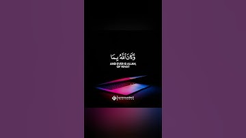 قرآن كريم بصوت جميل جدا صلاح بو خاطر 💙 حالات واتس اب دينيه || 💔تلاوة تبكي القلب❤️🌙 Quran status