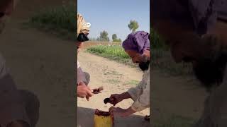 अफगनसतन म अफम क खत पर तलबन क तलवर Taliban Ban On Poppy In Afghanistan