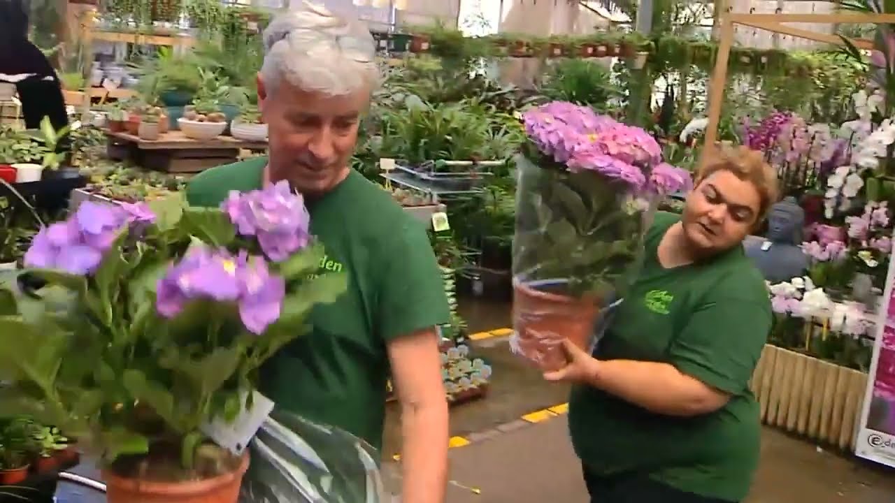 Así es el día a día en un vivero