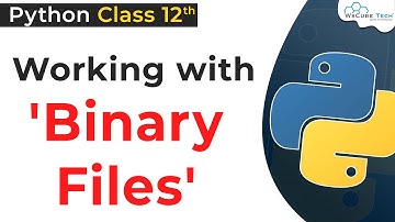 Working with Binary Files in Python Class 12 | Python Binary Files | Python for Class 12