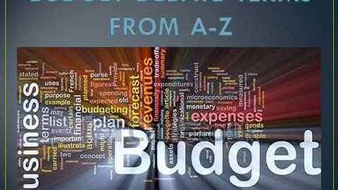 What is "Performance Budgeting"?