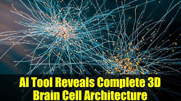 AI Tool Reveals Complete 3D Brain Cell Architecture