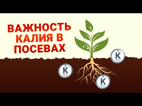 Важность калия в посевах