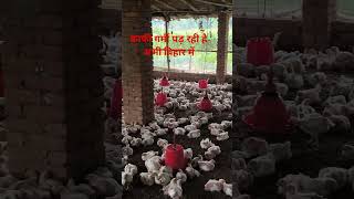 #shorts, #youtubeshorts, #viral, #trending, #funny, and #ARV,