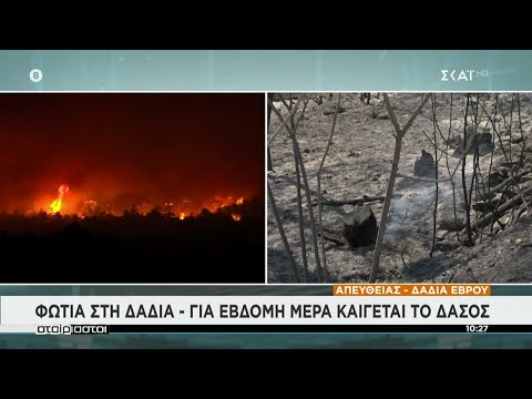 Φωτιά στη Δαδιά: