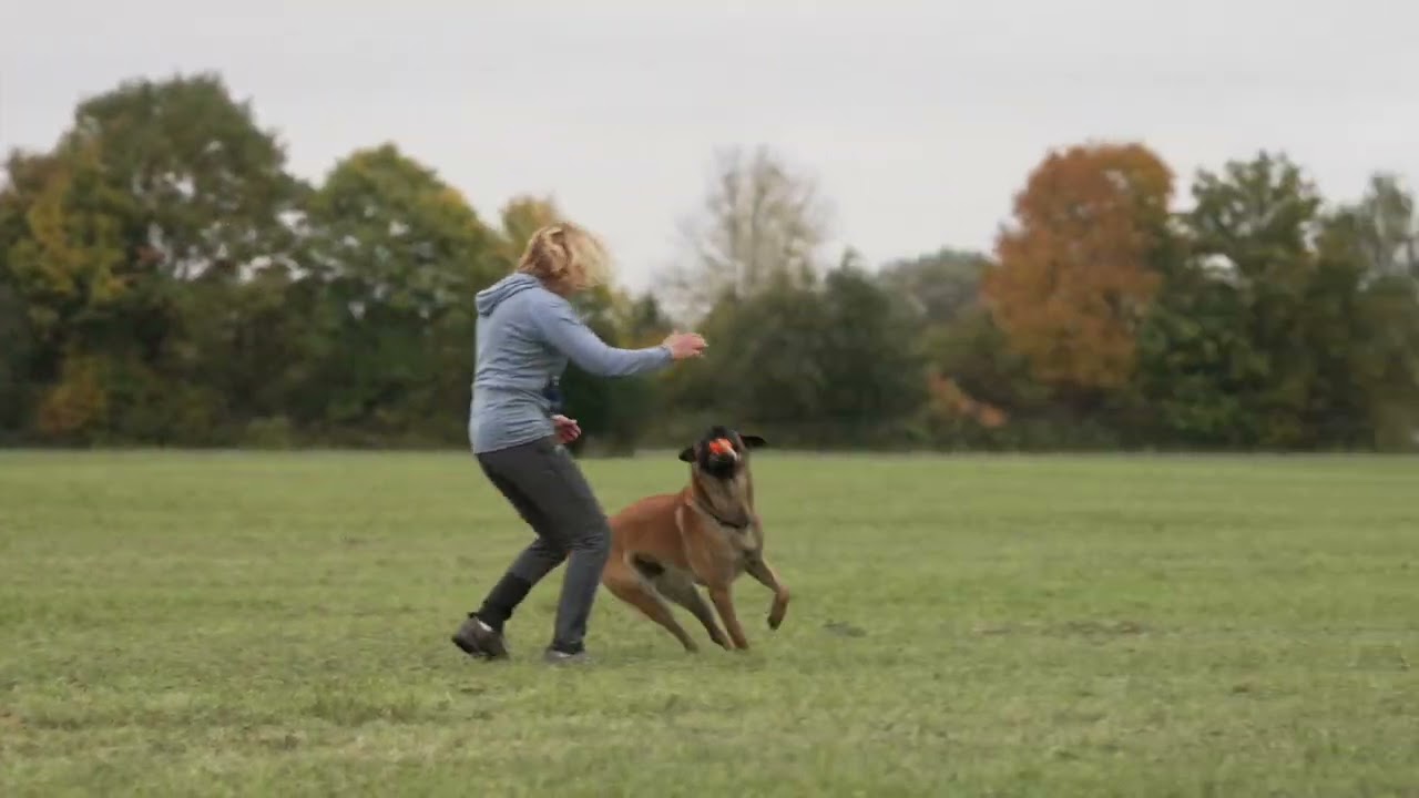 Connie & Boss beim Herbsttraining
