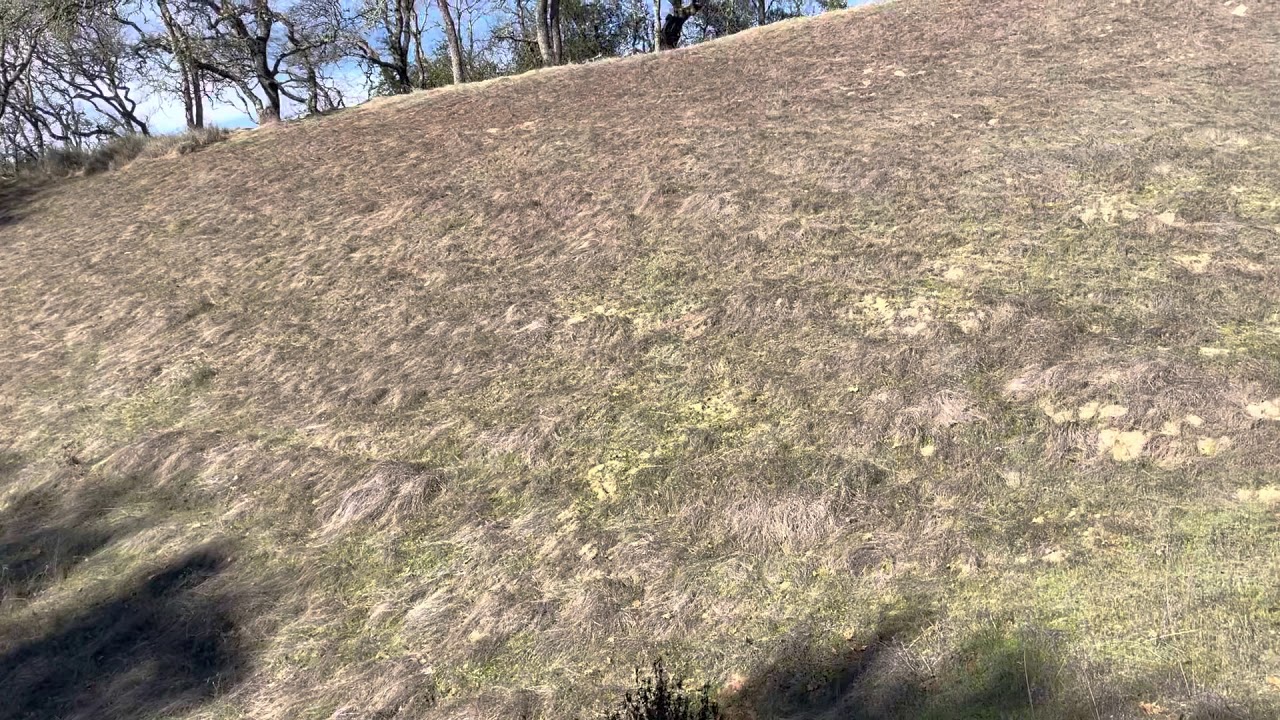 Pond and Northern Hillside