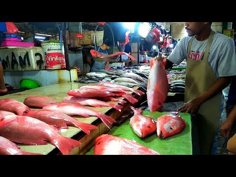 Cara Membersihkan Ikan Kakap Merah Besar