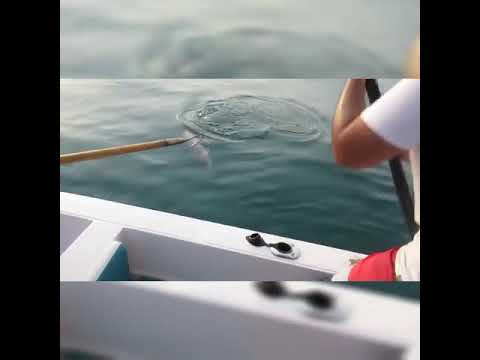 من قلب الحدث ومن موقع الهامور مع رافان