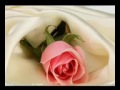 هكذا هي الحياة هكذا هي الحياة