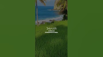قرآن كريم تلاوة عذبة❤ من القرآن الكريم الشيخ محمد اللحيدان