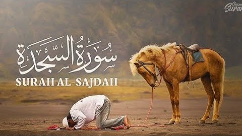 تلاوة ستريح أعصابك بصوت قمة في العذوبة سورة السجدة II القارئ طارق محمد