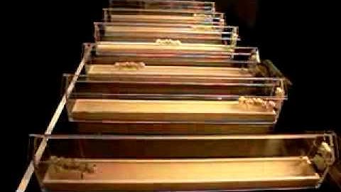 Siggraph 2006 Part 11