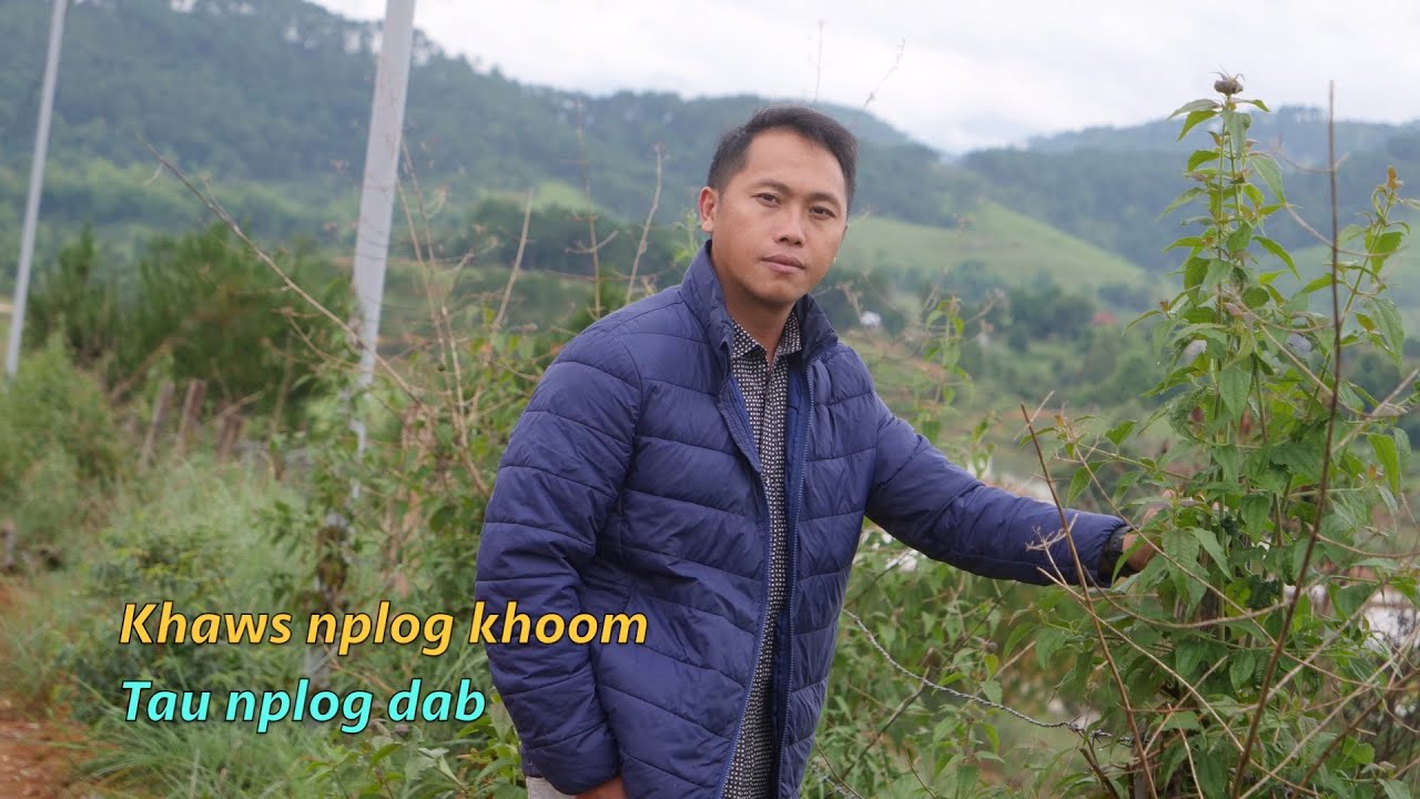 Khaws nplog khoom tau nplog dab 7/22/2025