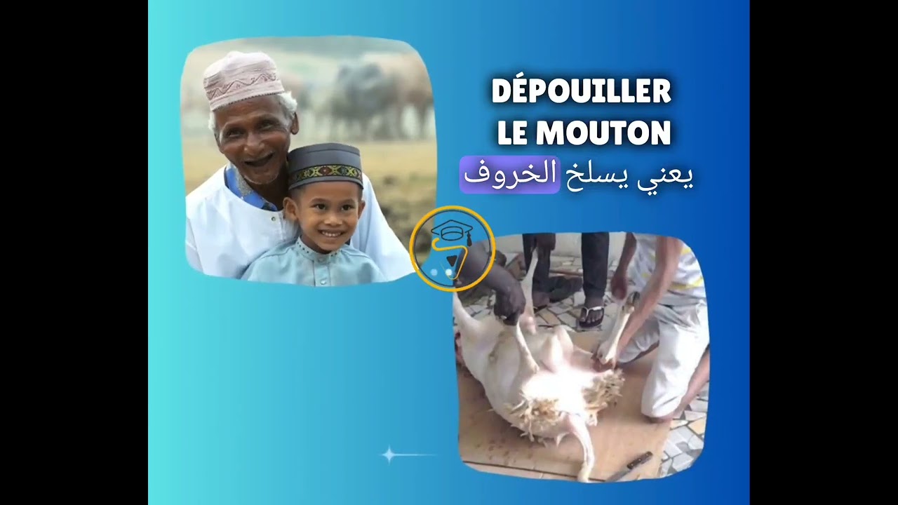 Apprendre le français