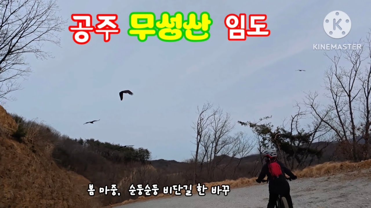 2026/2/23(공주)무성산 임도