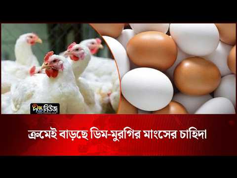 Egg Demand Bangladesh l ক্রমেই বাড়ছে ডিম-মুরগির মাংসের চাহিদা l Chicken Price l Deepto news