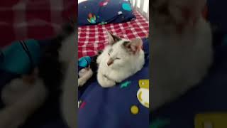 28 Kasım 2024 Resimi