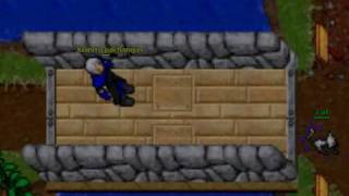 NOOB CAT ROOKGARD