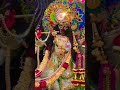 #mathura ka raja#virndavan kinger#krishna #viral#shorts#shorts