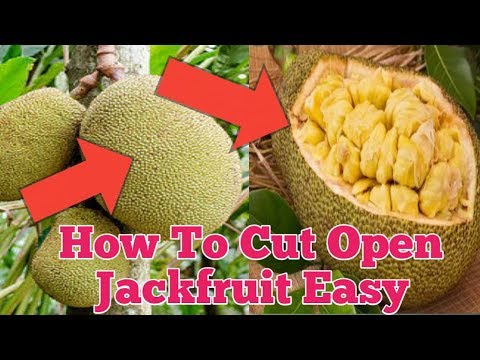 Video: 9 Geweldige Voordelen Van Jackfruit + Hoe Je Het Eet