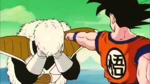 TFS : Goku Punches Jiece