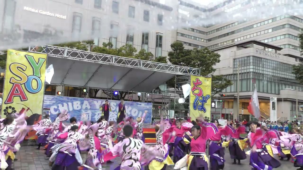 【公式】 鳳遙恋2024『咲散花』 ちばYOSAKOI1日目／千葉中央公園会場