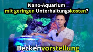 Einfach  Faszinierend  Low Budget | Marcus zeigt sein Dupla Ocean Cube 80 | Nano Meerwasserbecken