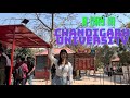 A day in chandigarh university  daily vlogs  komal sharma