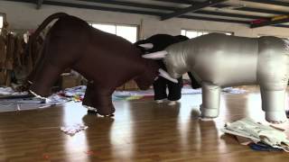 inflatable bullfight costumes ,whatsapp: 86-15105455592