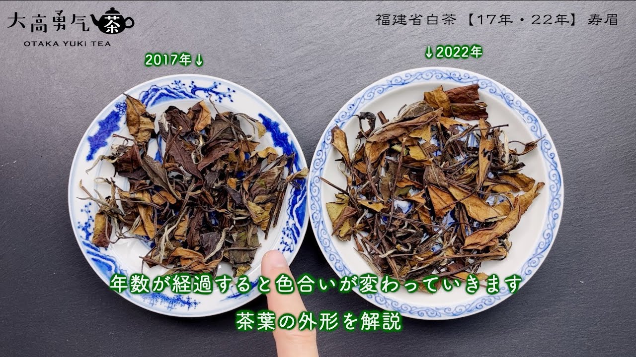 白茶・寿眉・2017・2022 - 大高中国茶専門店