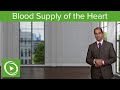 Blood Supply of the Heart: Supply/Demand Mismatch– Cardiovascular Pathology | Lecturio