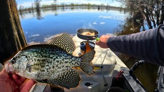 SAC-A-LAIT (crappie) CATCH AND COOK | Atchafalaya Basin