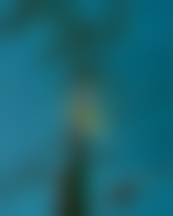 Cucok banget story' Jum'at berkah || story'wa terbaru || ✨