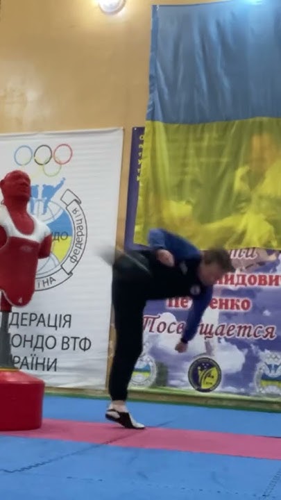 Удары с разворота #тхеквондо #тхэквондо #taekwondo #hapkido #coach # ...